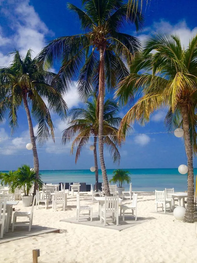 Divi Village Golf And Beach Resort Palm Beach