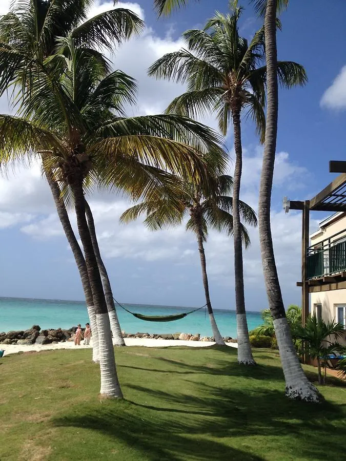 Divi Village Golf And Beach Resort Palm Beach